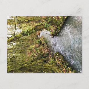 Corral Creek Postkarte