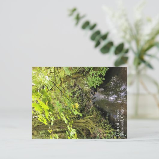 Corral Creek Postkarte (Stehend Vorderseite)