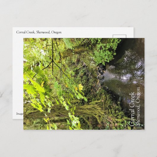 Corral Creek Postkarte (Vorne/Hinten)