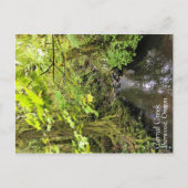 Corral Creek Postkarte (Vorderseite)