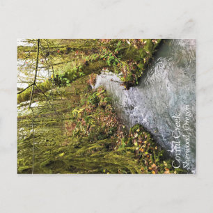 Corral Creek Postkarte