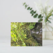 Corral Creek Postkarte (Stehend Vorderseite)