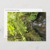 Corral Creek Postkarte (Vorne/Hinten)