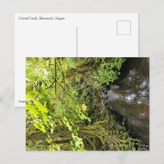 Corral Creek Postkarte (Vorne/Hinten)