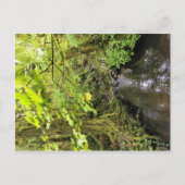 Corral Creek Postkarte (Vorderseite)