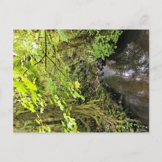 Corral Creek Postkarte (Vorderseite)