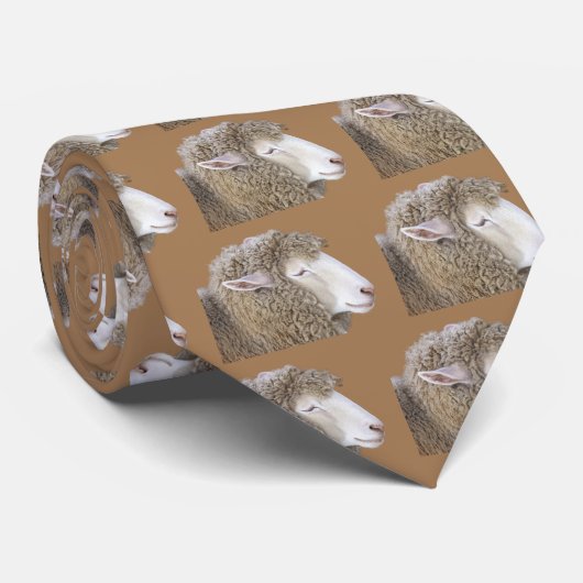 Corriedale Schafe Krawatte (Gerollt)