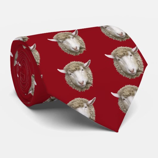 Corriedale sheep krawatte (Gerollt)