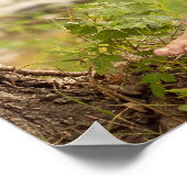 Corrina Rachel Red Dress Poster (Ecke)