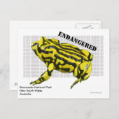 Corroboree Frog Kosciuszko Nationalpark Postkarte (Vorne/Hinten)