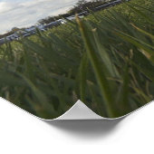 Corsair Poster (Ecke)