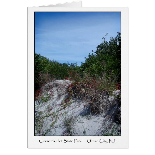 Corsons Inlet Staat Park (Vorne)