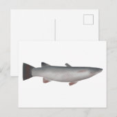 Corsula Postkarte (Vorne/Hinten)