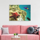 Cortez Rainbow Wrasse, männlich und weiblich, Meer Leinwanddruck (Insitu (Wohnzimmer))