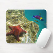 Cortez Rainbow Wrasse, männlich und weiblich, Meer Mousepad (Mit Mouse)