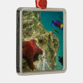 Cortez Rainbow Wrasse, männlich und weiblich, Meer Ornament Aus Metall (Rechts)