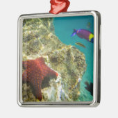 Cortez Rainbow Wrasse, männlich und weiblich, Meer Ornament Aus Metall (Links)