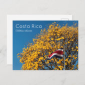 Corteza amarilla Costa Rica Postkarte (Vorne/Hinten)