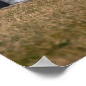 Corvette C7 Z06 Poster (Ecke)