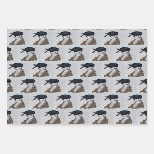 Corvid Geschenkpapier Set (Vorderseite 2)