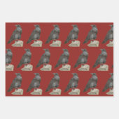 Corvid Geschenkpapier Set (Vorderseite)
