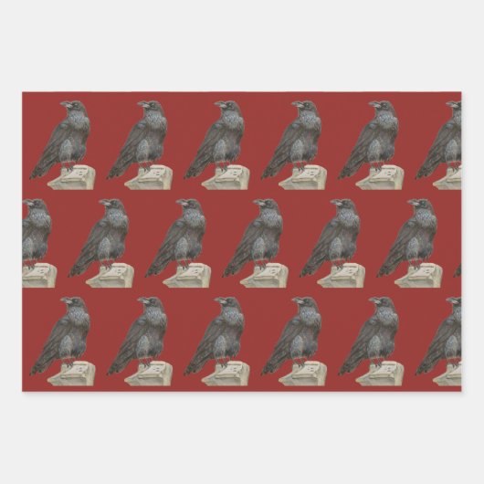 Corvid Geschenkpapier Set (Vorderseite)