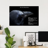 Corvidae Symbolismus Poster (Heimbüro)