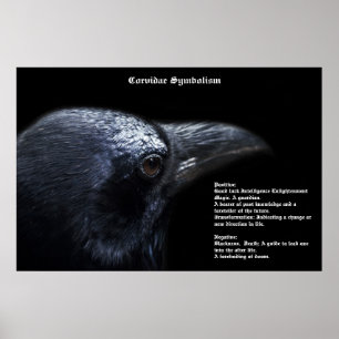 Corvidae Symbolismus Poster