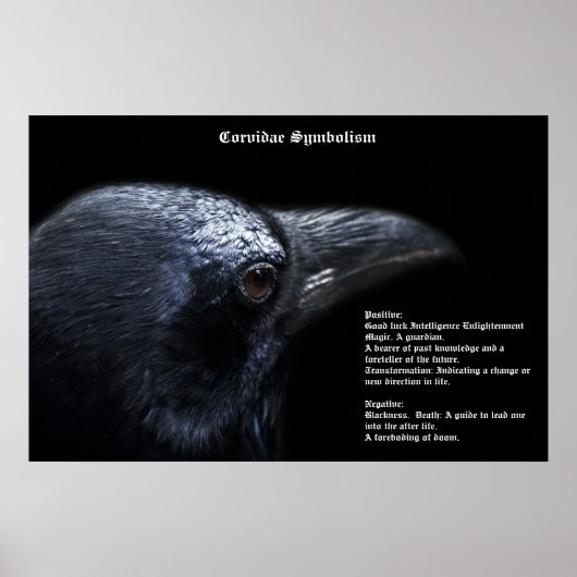 Corvidae Symbolismus Poster (Vorne)