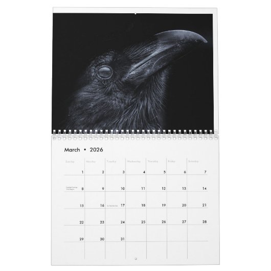 Corvidtopia Raven 2025 Wandkalender (Mär 2026)