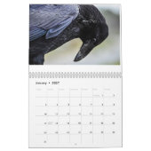 Corvidtopia Raven 2025 Wandkalender (Jan 2027)