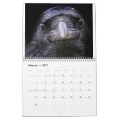 Corvidtopia Raven 2025 Wandkalender (Feb 2027)