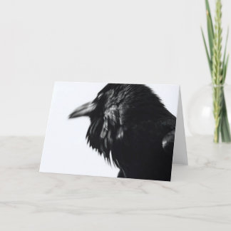 Corvus corax (allgemeiner Rabe) Karte