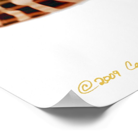 Corydoras Sterbai Catfish Print Poster (Ecke)