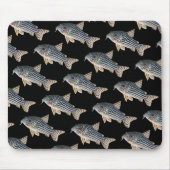 Corydoras sterbai , No.04 Mousepad (Vorne)