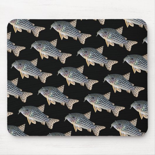 Corydoras sterbai , No.04 Mousepad (Vorne)