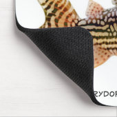 Corydoras Sterbai Wels Mousepad (Ecke)