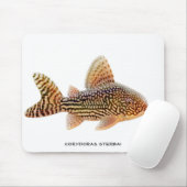 Corydoras Sterbai Wels Mousepad (Mit Mouse)