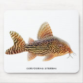Corydoras Sterbai Wels Mousepad (Vorne)
