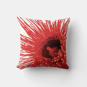 Corymbia ficifolia "Wildfire" Foto Kissen