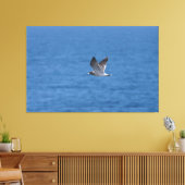 Corys Sturmtaucher Leinwanddruck (Insitu (Wohnzimmer))