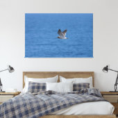 Corys Sturmtaucher Leinwanddruck (Insitu (Schlafzimmer))