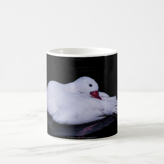Coscoroba Swan P3442 Kaffeetasse (Mittel)