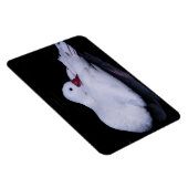 Coscoroba Swan P3442 Magnet (Rechte Seite)