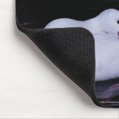 Coscoroba Swan P3442 Mousepad (Ecke)
