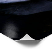 Coscoroba Swan P3442 Poster (Ecke)