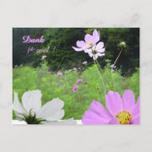 Cosmea, Wild Blume Field Danke Postcard Postkarte (Vorderseite)