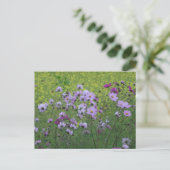 Cosmea Wilde Blume & Rapeseed Field DIY Postkarte (Stehend Vorderseite)