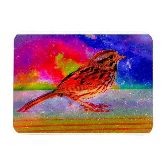 Cosmic Bird Dreamscape Art Print" Magnet (Horizontal)