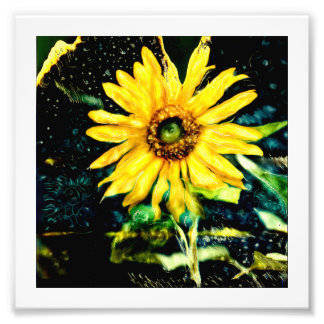 Cosmic Sonnenblume Original Fotografie von Slrusse